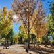 Campspot slideshow image 3