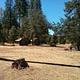 PINES GROUP STANISLAUS