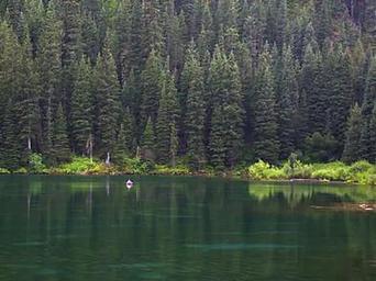 COTTONWOOD GROUP CAMPSITE