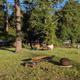 Campspot slideshow image 1