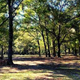 Campspot slideshow image 1