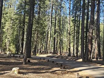 Gurnsey Creek Group Campground