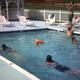 Clear photo of the campground swimming pool in use with pool deck, loungers and gazebo visible — supports the site's amenities page showing a pool facility.
