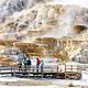 Mammoth Hot Springs boardwalk in front of a hydrothermal feature