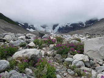 J01, Loop: AREA LAUGHTON GLACIER CABIN
