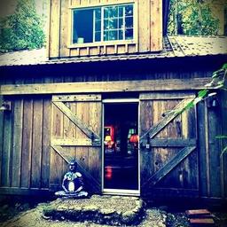 Trout Creek Wilderness Lodge