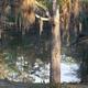 Campground image 4