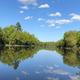 Scenic waterfront reflection showing the property’s pond and tree-lined shoreline — useful landscape view representing Runaround Pond on the property.