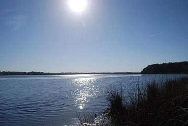 Oyster Point Campground