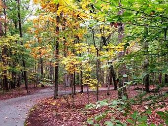 Oak Ridge Campground