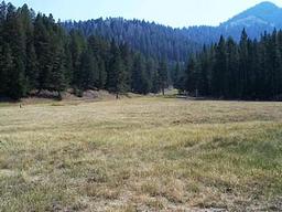 Loristica Group Campground