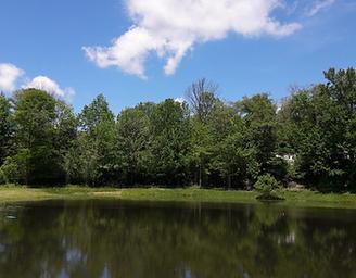 Lehigh Gorge Campground