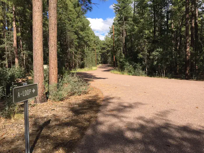 Ponderosa (AZ)
