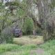 Primitive campsite at the John Day Crossing Historic Site.