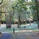 Paved trail and picnic site at Tyee Campground.