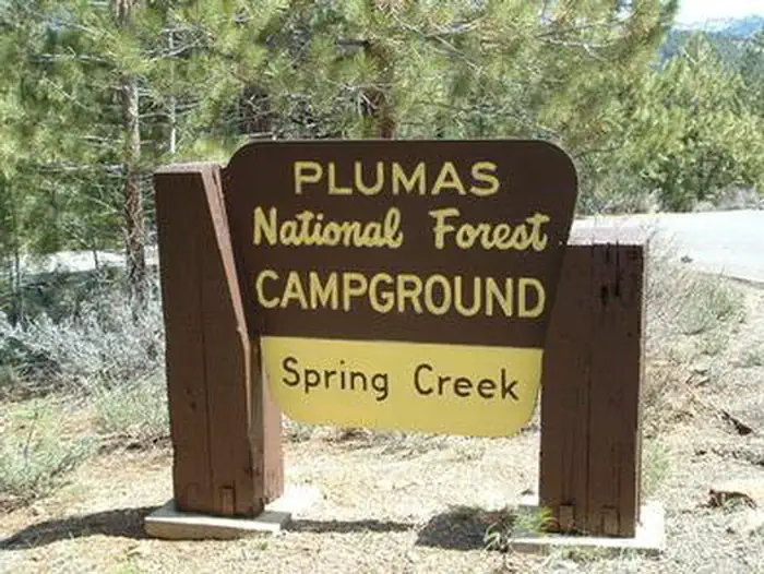 Spring Creek