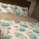 BOB-2018 Forest River RV Sunseeker 3270S Ford