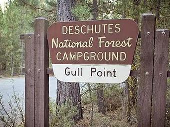 Gull Point Campground