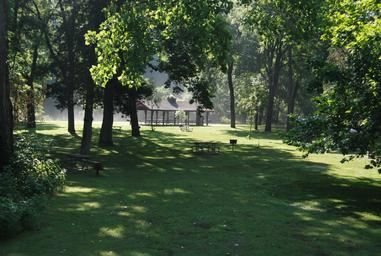 a grassy park