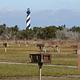 Cape Point Campground