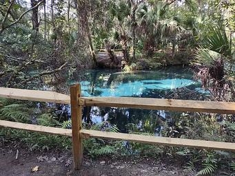 Juniper Springs Rec Area