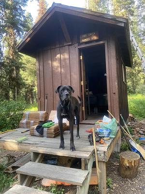 001, Loop: AREA FOX CREEK CABIN
