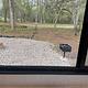 2022 Forest River RV Salem Grand Villa 42FK RV rental photo 25