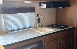 2017 Forest River RV Salem Cruise Lite 177BH
