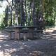 Site picnic table, shaded