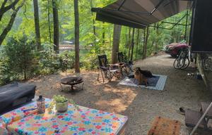 Baloo and Baxter's RV Getaway