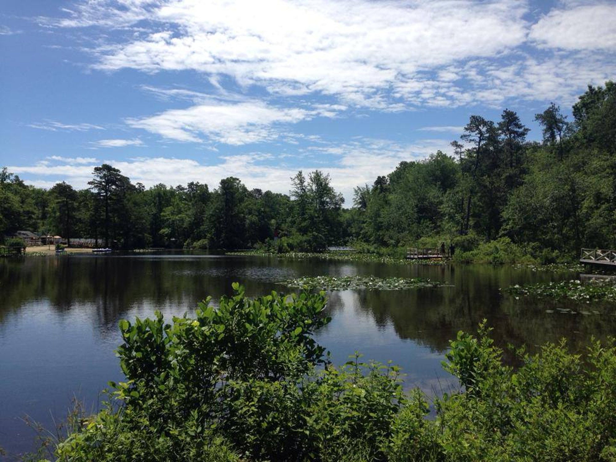 Timberland Lake Campground