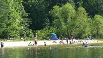 Trout Pond Recreation Area