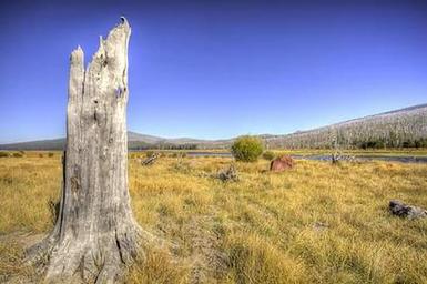 East Davis Campground