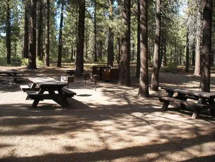 Pine Glen