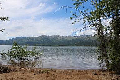 Howers