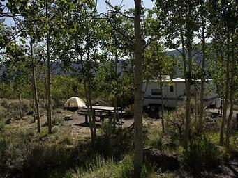 Forested campsite with a tent, picnic table, and RV
