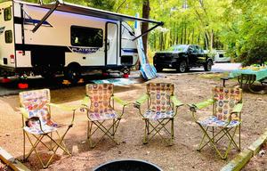 BEE HAPPY GLAMPER 22 Forest River  Salem FSX179DBK