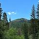Redman Campground landscape