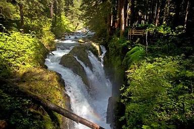 Sol Duc Hot Springs Resort Campground