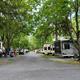 Long, centered lane with RV sites on both sides under trees — clear depiction of typical RV row and spacing (sourced from the site's FAQ/gallery).