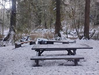 Picnic area