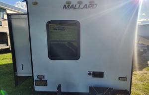 Take flight with the Mighty Mallard!