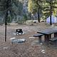 Campsite with lantern hook, fire ring, and picnic table