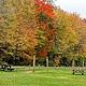 Fox Creek Horse Camp in the Fall