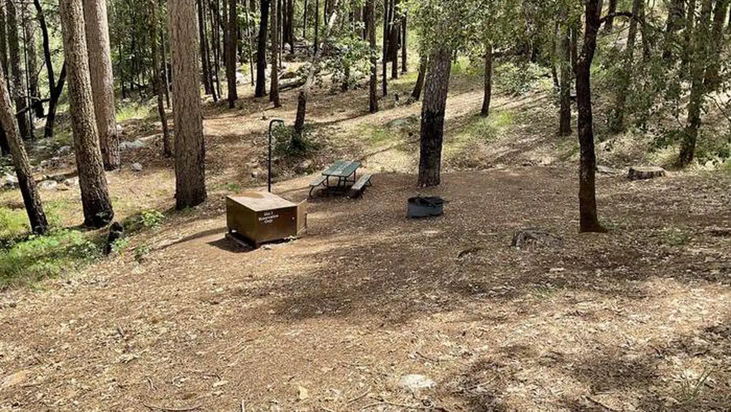 Sheep Camp Primitive Campground