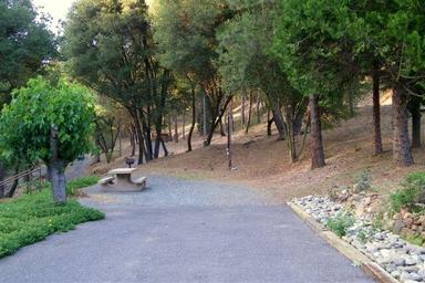 Host Site