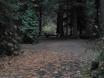 LIMBERLOST CAMPGROUND