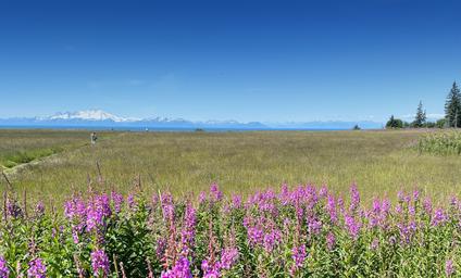 Campspot slideshow image 5