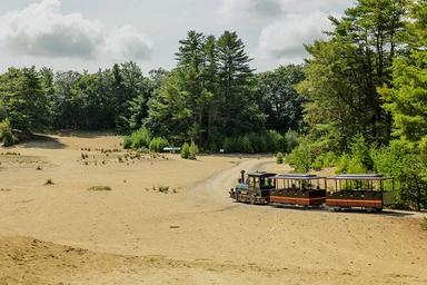 Desert of Maine - Cabins & Glamping