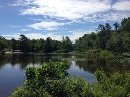 Timberland Lake Campground